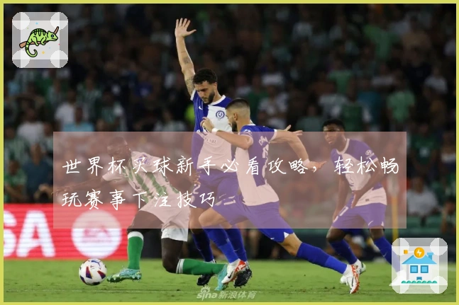 世界杯买球新手必看攻略，轻松畅玩赛事下注技巧