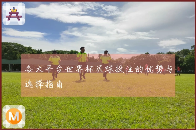 各大平台世界杯买球投注的优势与选择指南