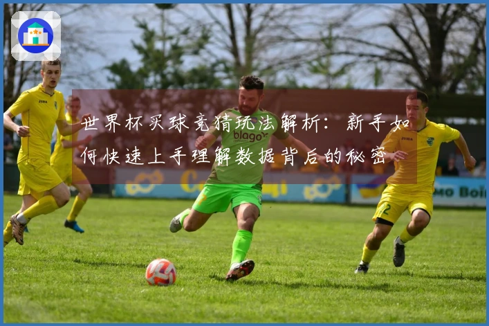 世界杯买球竞猜玩法解析：新手如何快速上手理解数据背后的秘密