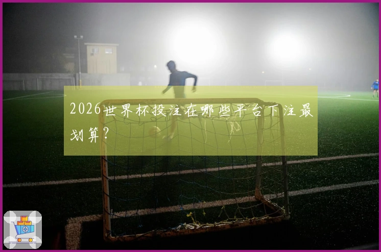 2026世界杯投注在哪些平台下注最划算？