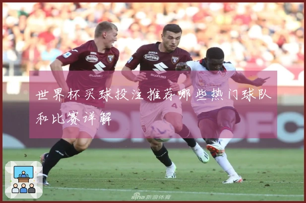 世界杯买球投注推荐哪些热门球队和比赛详解