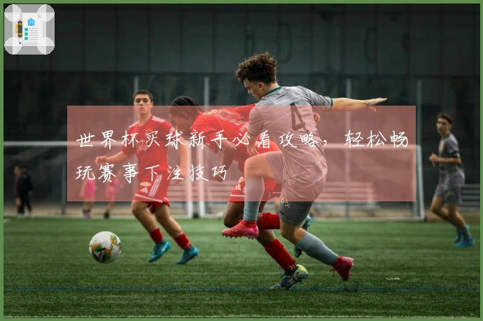 世界杯买球新手必看攻略，轻松畅玩赛事下注技巧