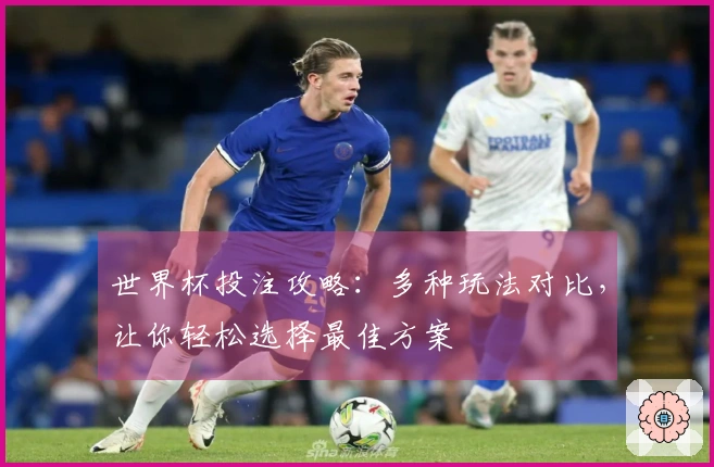世界杯投注攻略：多种玩法对比，让你轻松选择最佳方案