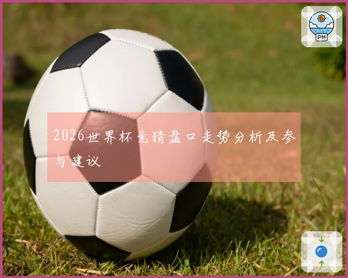2026世界杯竞猜盘口走势分析及参与建议