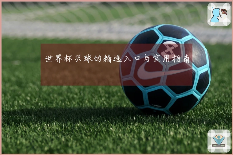 世界杯买球的精选入口与实用指南