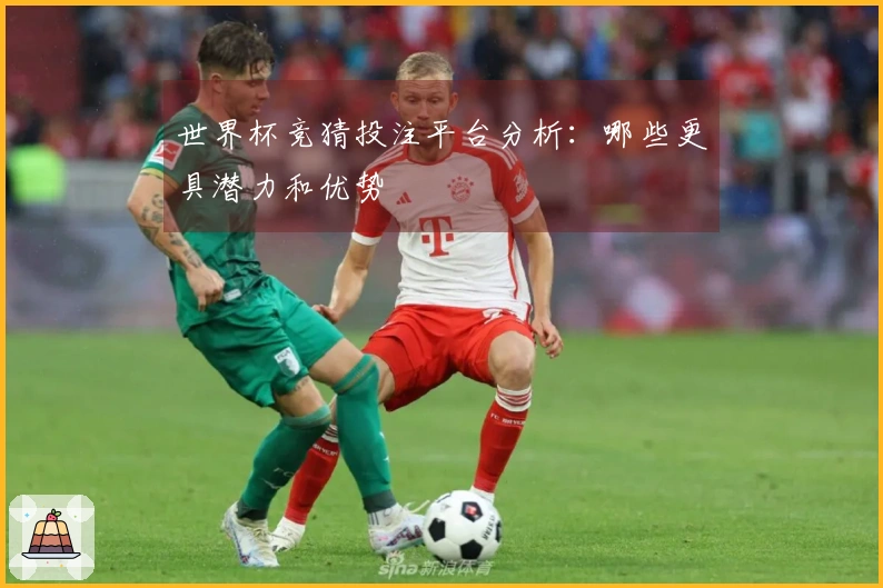 世界杯竞猜投注平台分析：哪些更具潜力和优势