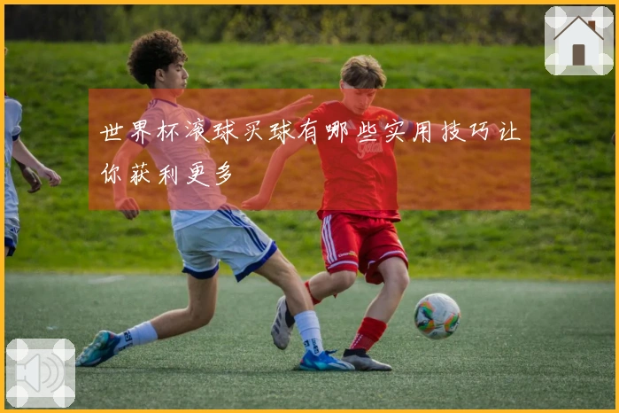 世界杯滚球买球有哪些实用技巧让你获利更多