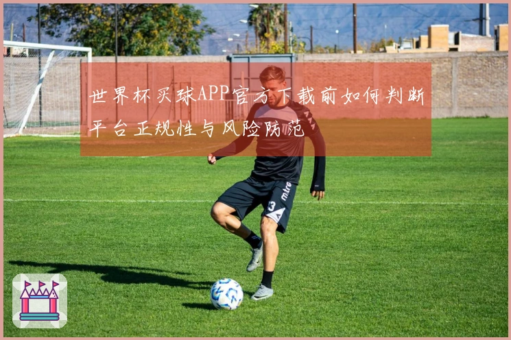 世界杯买球APP官方下载前如何判断平台正规性与风险防范