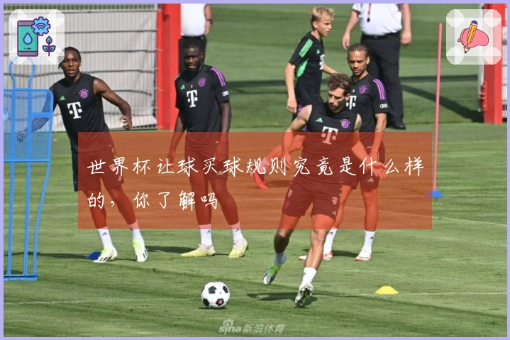 世界杯让球买球规则究竟是什么样的，你了解吗