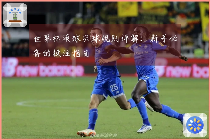 世界杯滚球买球规则详解：新手必备的投注指南