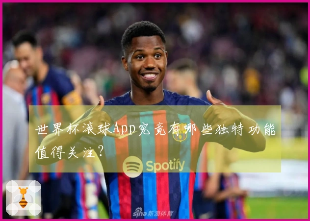 世界杯滚球App究竟有哪些独特功能值得关注？