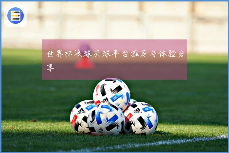 世界杯滚球买球平台推荐与体验分享