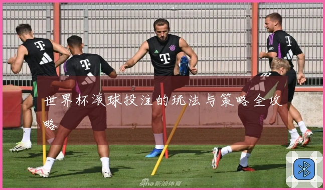 世界杯滚球投注的玩法与策略全攻略