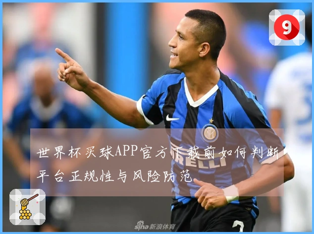 世界杯买球APP官方下载前如何判断平台正规性与风险防范