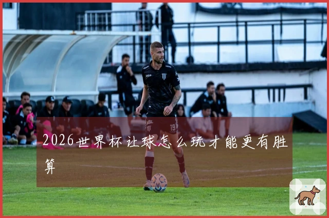 2026世界杯让球怎么玩才能更有胜算