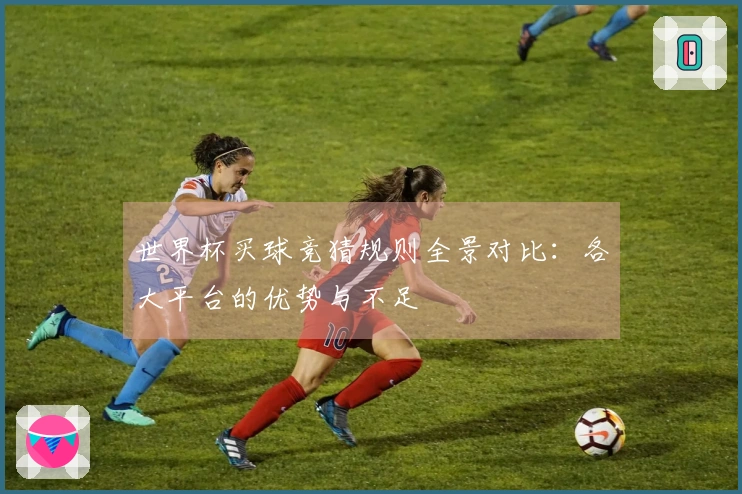世界杯买球竞猜规则全景对比：各大平台的优势与不足