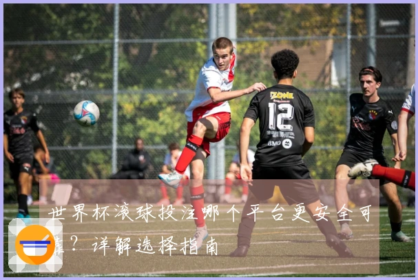 世界杯滚球投注哪个平台更安全可靠？详解选择指南